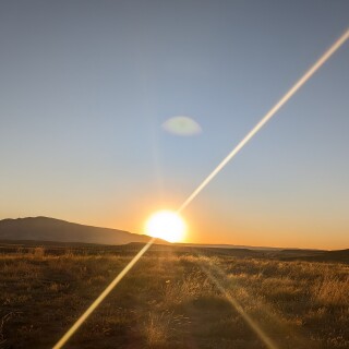 138feeff04aefd8f71b3b1014a72234e