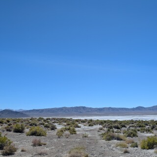 455a69bb5f929591fe58e62661de4ce1