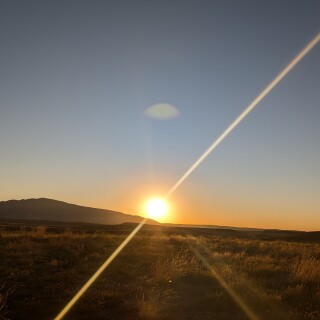 70ba281f9b724b1aba4615156a4169d4