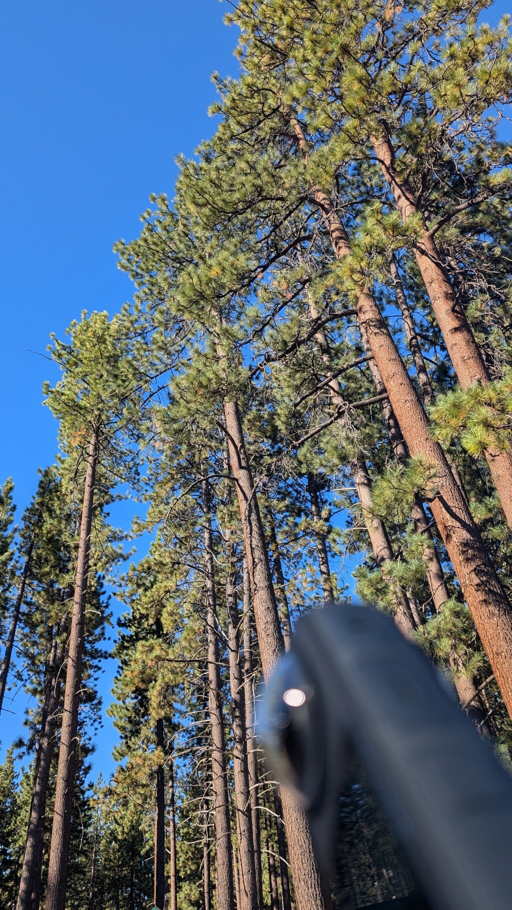 PXL 20240815 152104112.MP