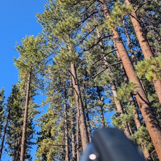 7be691e2bc1e5243b5cdc815c274dd40