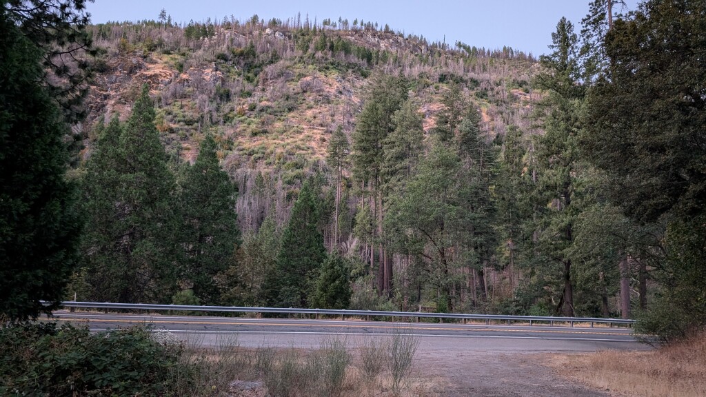 PXL 20240815 125844859.MP