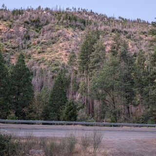 7d0fc7cacc5eced6ff161fb1b768622e