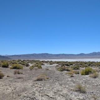 a3b467b0dfa5804a65f91fafc1e0de2b