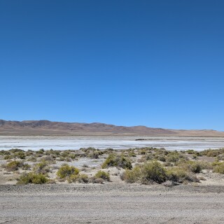 ba0cdedeb45d8441d6e18a4417779008