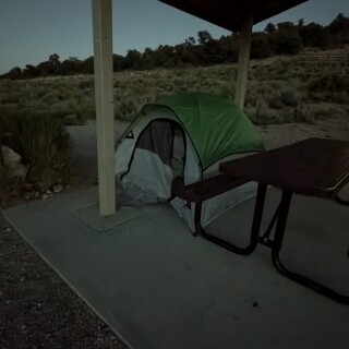 ed9d2441b6ac13038a94c169ce6b1aba